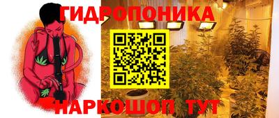 эйфоретик Камышлов
