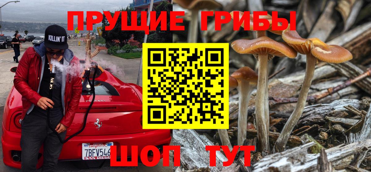 Галлюциногенные грибы MAGIC MUSHROOMS Краснокаменск